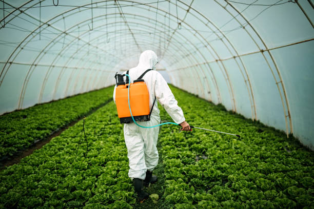 Best Pest Control for Restaurants  in West Salem, WI