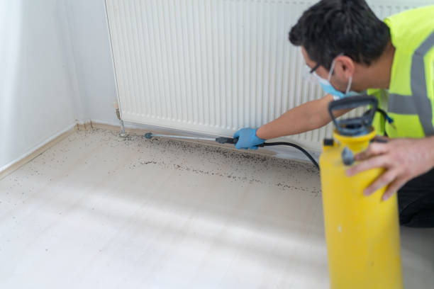 Best Pest Control Near Me  in West Salem, WI