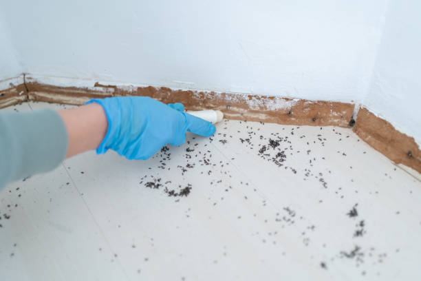 Wildlife Control Services in West Salem, WI