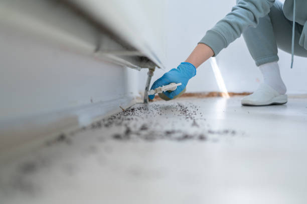 Best Commercial Pest Control Services  in West Salem, WI